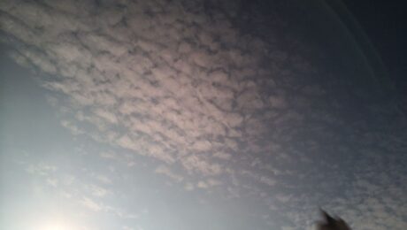 image (6)