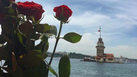 kız kulesi gul